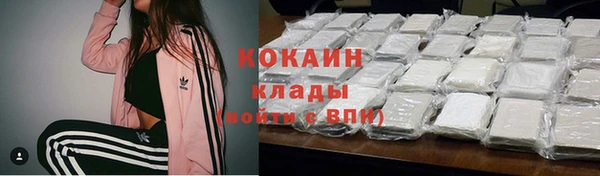 ешки Арсеньев