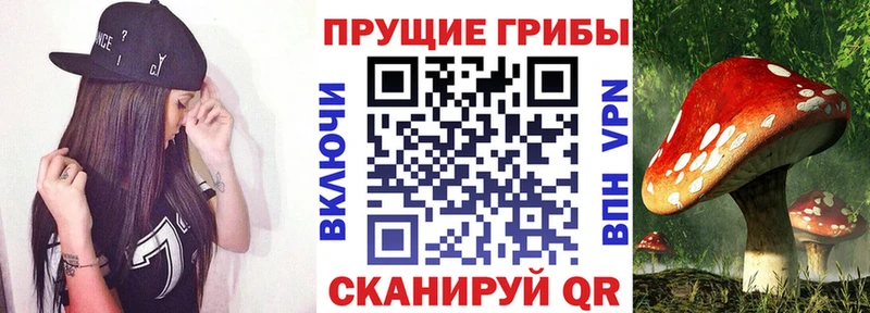 Псилоцибиновые грибы ЛСД  Новошахтинск 