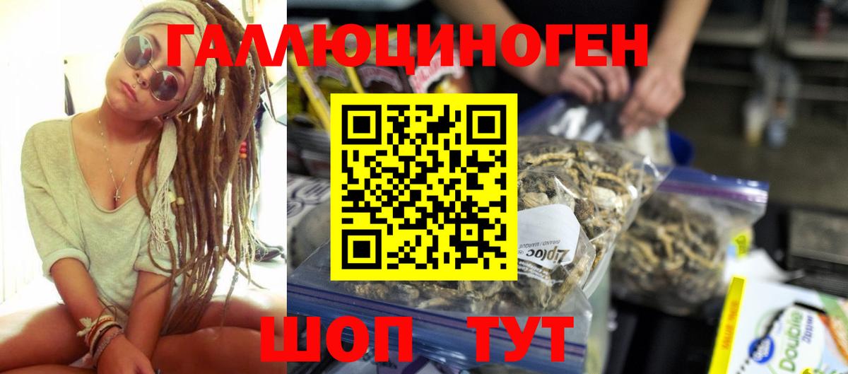 Галлюциногенные грибы MAGIC MUSHROOMS  Вход с VPN  Новошахтинск 